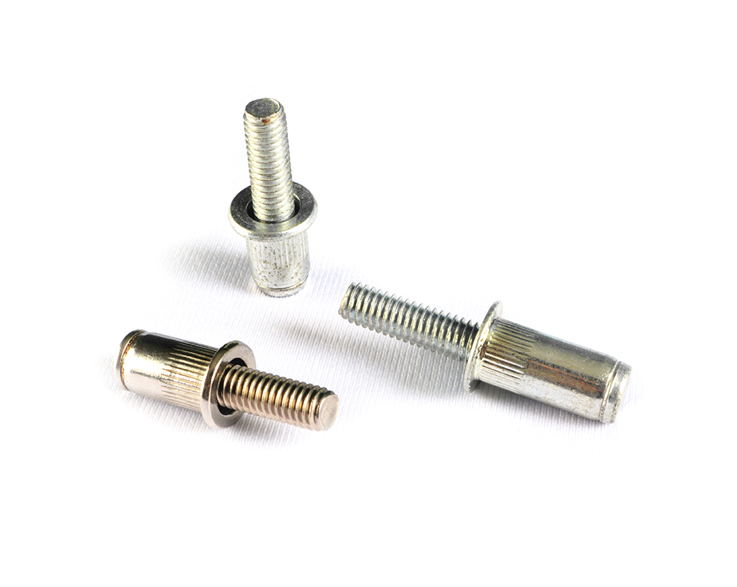 Flat Head Rivet Bolt